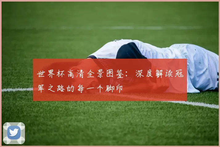 世界杯高清全景图鉴：深度解读冠军之路的每一个脚印
