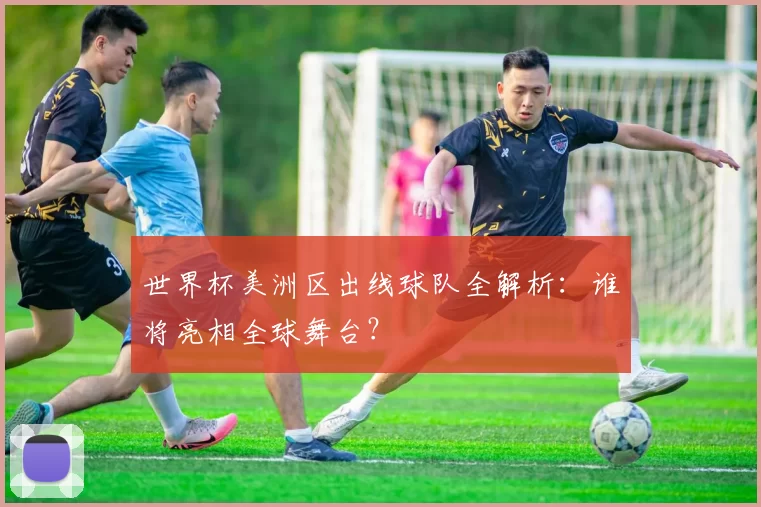 世界杯美洲区出线球队全解析：谁将亮相全球舞台？