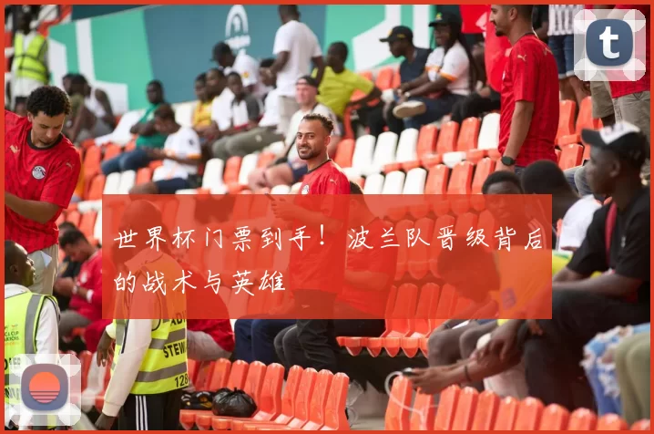 世界杯门票到手!波兰队晋级背后的战术与英雄
