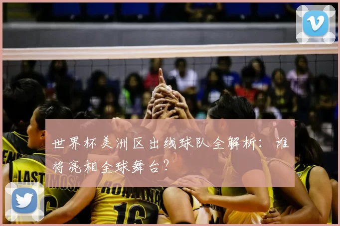 世界杯美洲区出线球队全解析:谁将亮相全球舞台?