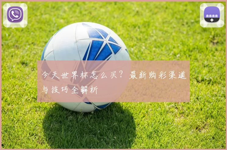 今天世界杯怎么买?最新购彩渠道与技巧全解析