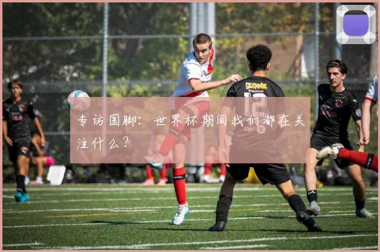 专访国脚:世界杯期间我们都在关注什么?