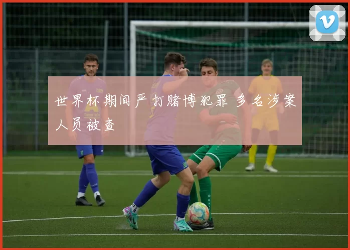 世界杯期间严打赌博犯罪 多名涉案人员被查