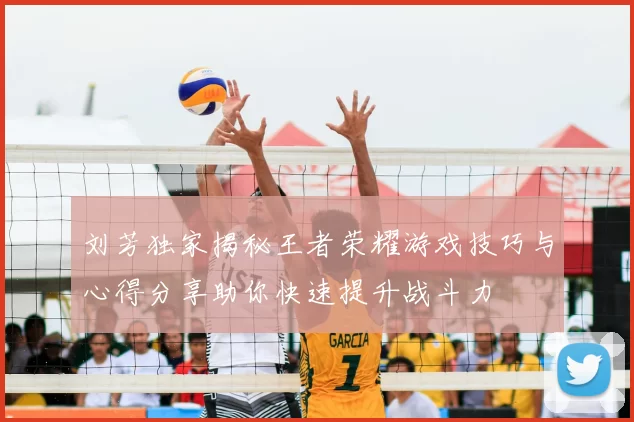 刘芳独家揭秘王者荣耀游戏技巧与心得分享助你快速提升战斗力