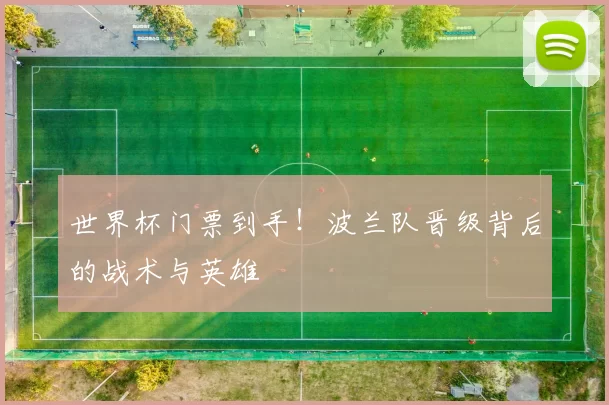世界杯门票到手!波兰队晋级背后的战术与英雄