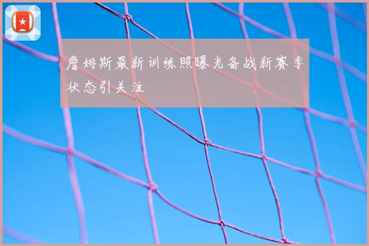 詹姆斯最新训练照曝光备战新赛季状态引关注