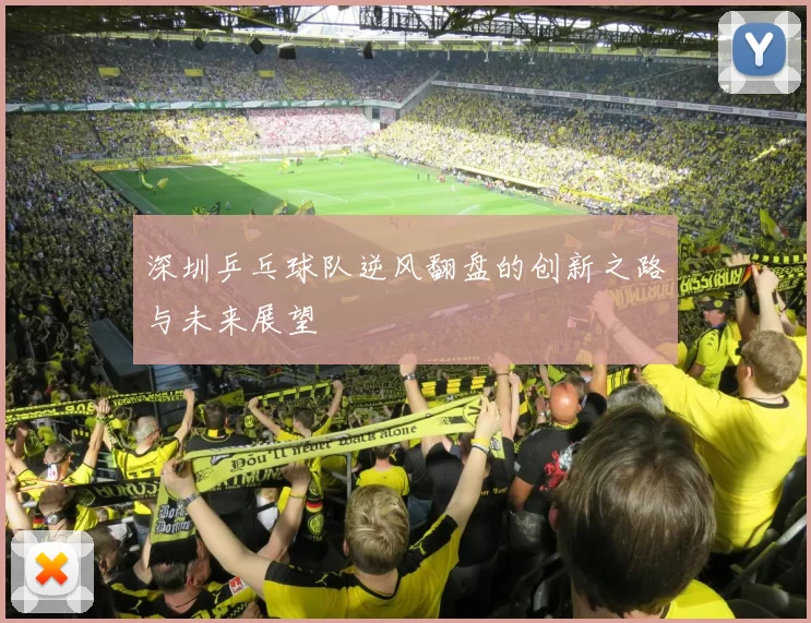 深圳乒乓球队逆风翻盘的创新之路与未来展望