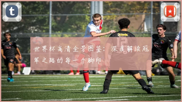 世界杯高清全景图鉴：深度解读冠军之路的每一个脚印