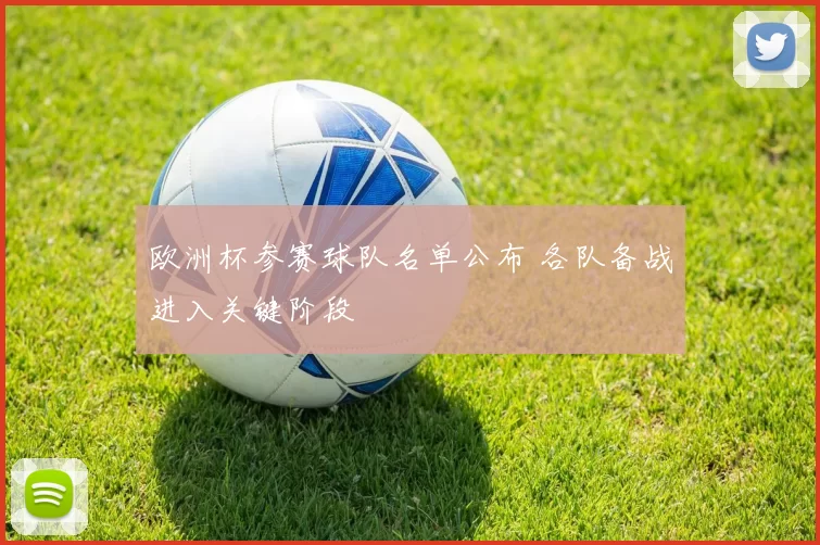 欧洲杯参赛球队名单公布 各队备战进入关键阶段